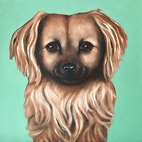 Pet portrait - Alfie - click here for a larger image