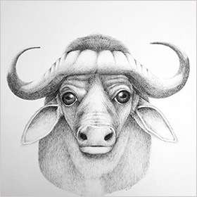 By the horns buffalo - click here for a larger image