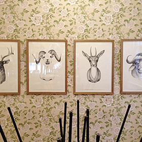 By the horns exhibition - click here for a larger image