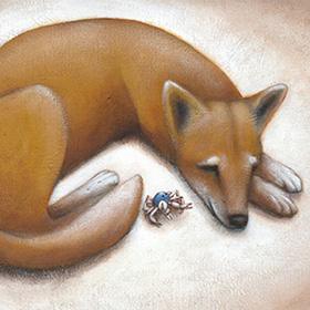 Dingo in the dark - click here for a larger image
