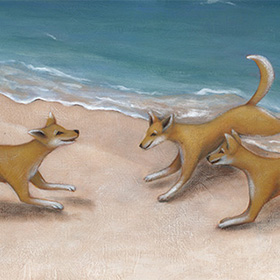 Dingo in the dark book- click here for a larger image