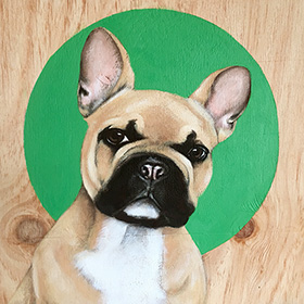 Doggo - Frenchie - click here for a larger image