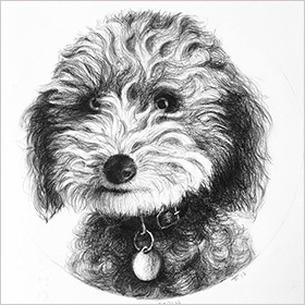 Pet portrait - Pepin - click here for a larger image